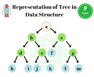 Trees in Data Structures (Introduction) » PREP INSTA