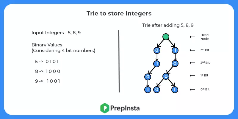 Inserting Trie Visualization