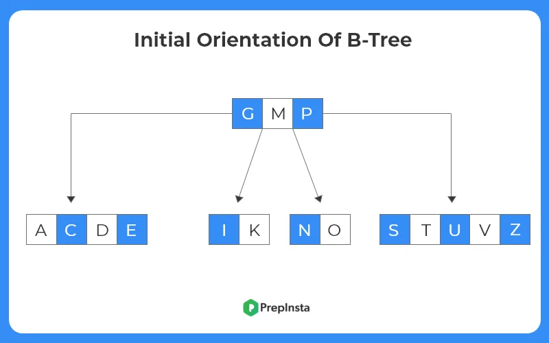 Initial Orientation Of B-Tree