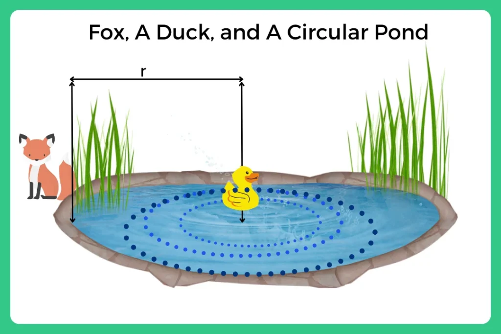 A Duck being pursued by a Fox escapes by sitting in the center of a circular pond with radius r