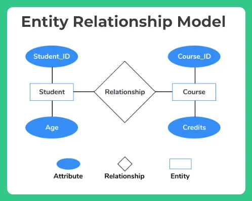 Data Models in DBMS types c