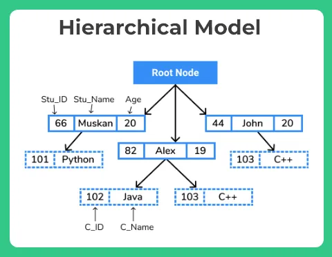 Hierarchical Model in DBMS img