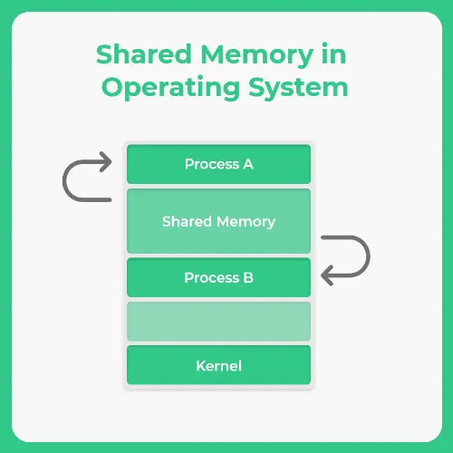 Inter Process Communication in Operating System (OS) | PrepInsta