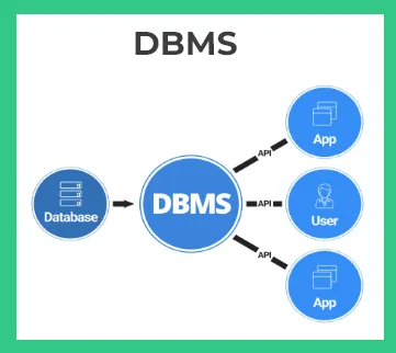 What is Database Management System