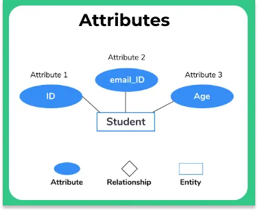 Entity Relationship Diagram in DBMS attribute