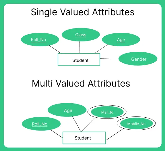 Attributes in DBMS 1