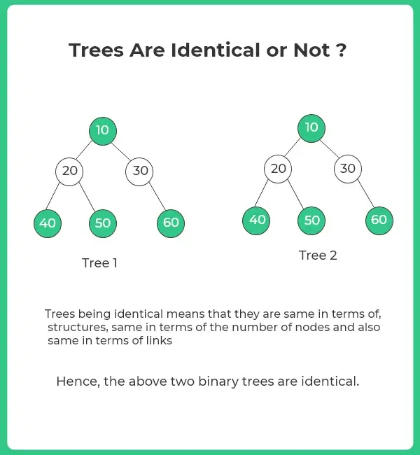 Check whether two binary trees are identical or not in java