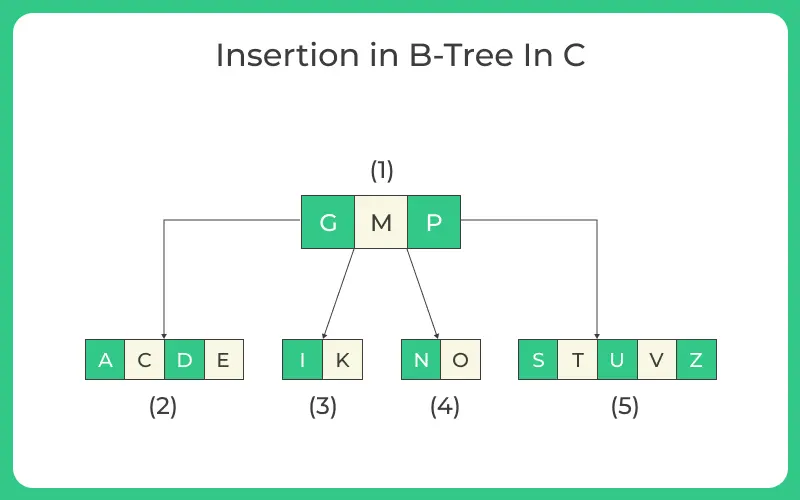 Insertion in B-Tree In C