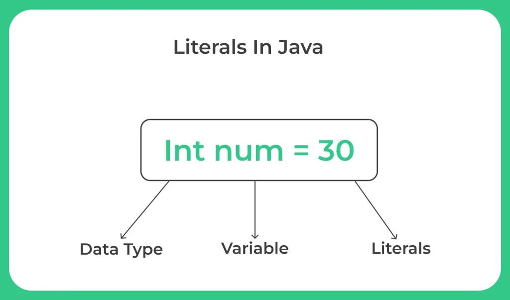 Java Variables and Literals