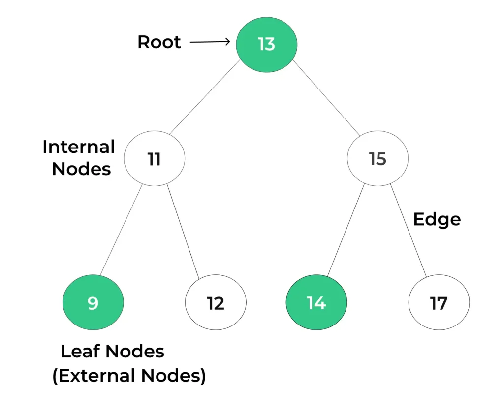 Binary Tree Data Structure Example