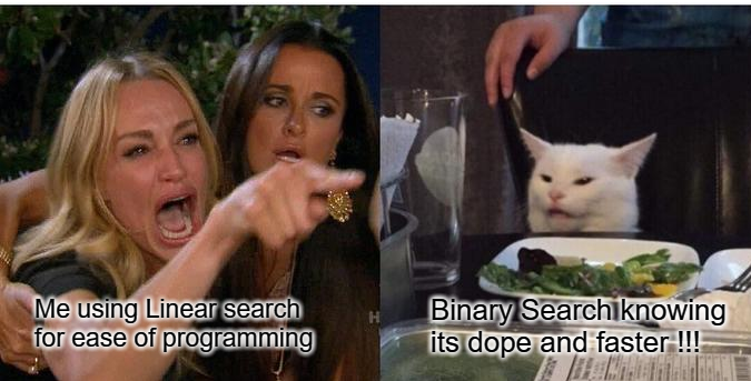 Linear search in C++ Meme