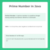 Prime Number between 1 to 100 in Java | PrepInsta