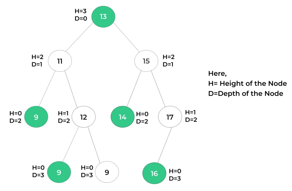 Height and Depth of a Tree Example