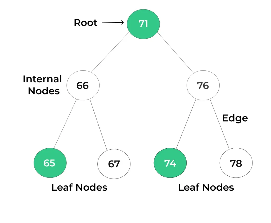 Binary Tree in Data Structure