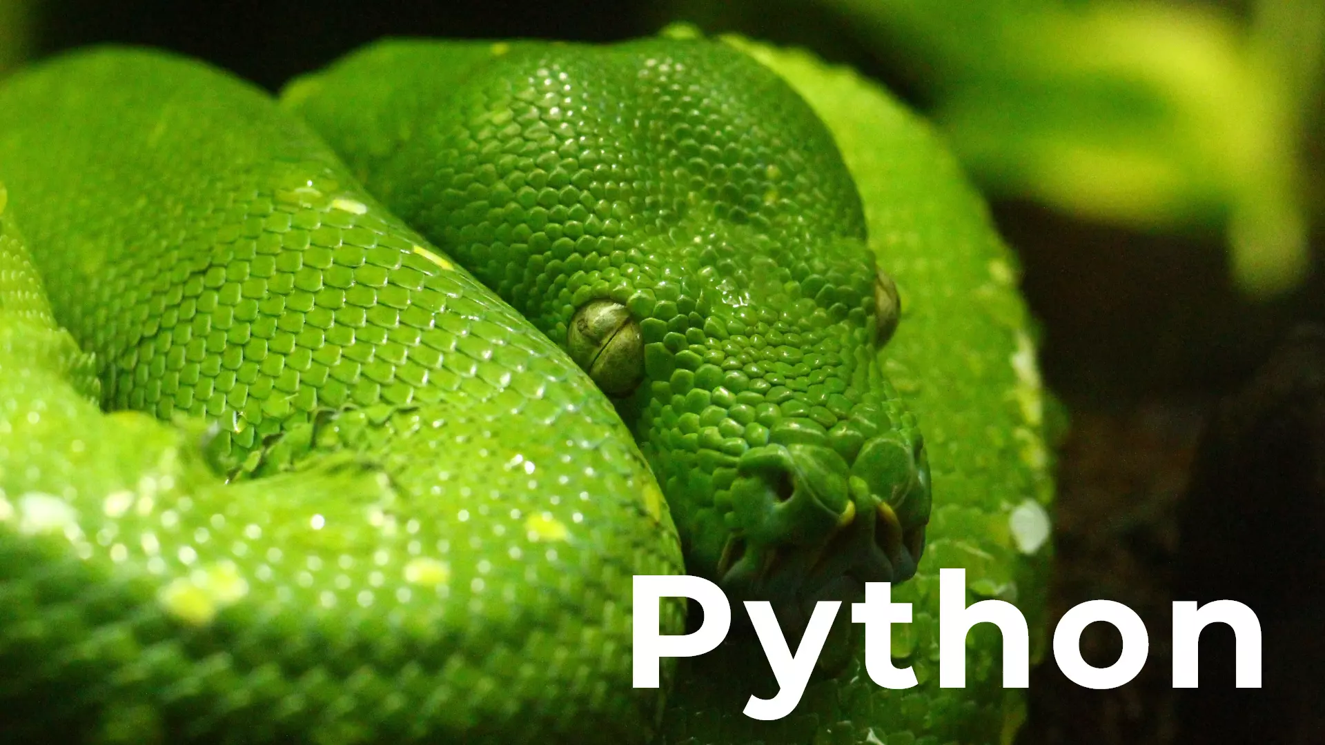 Python-Course-PrepInsta-Prime-1