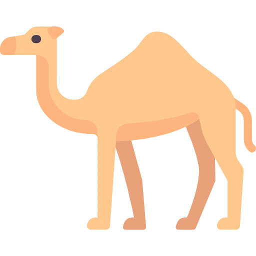 Camel and Banana Puzzle