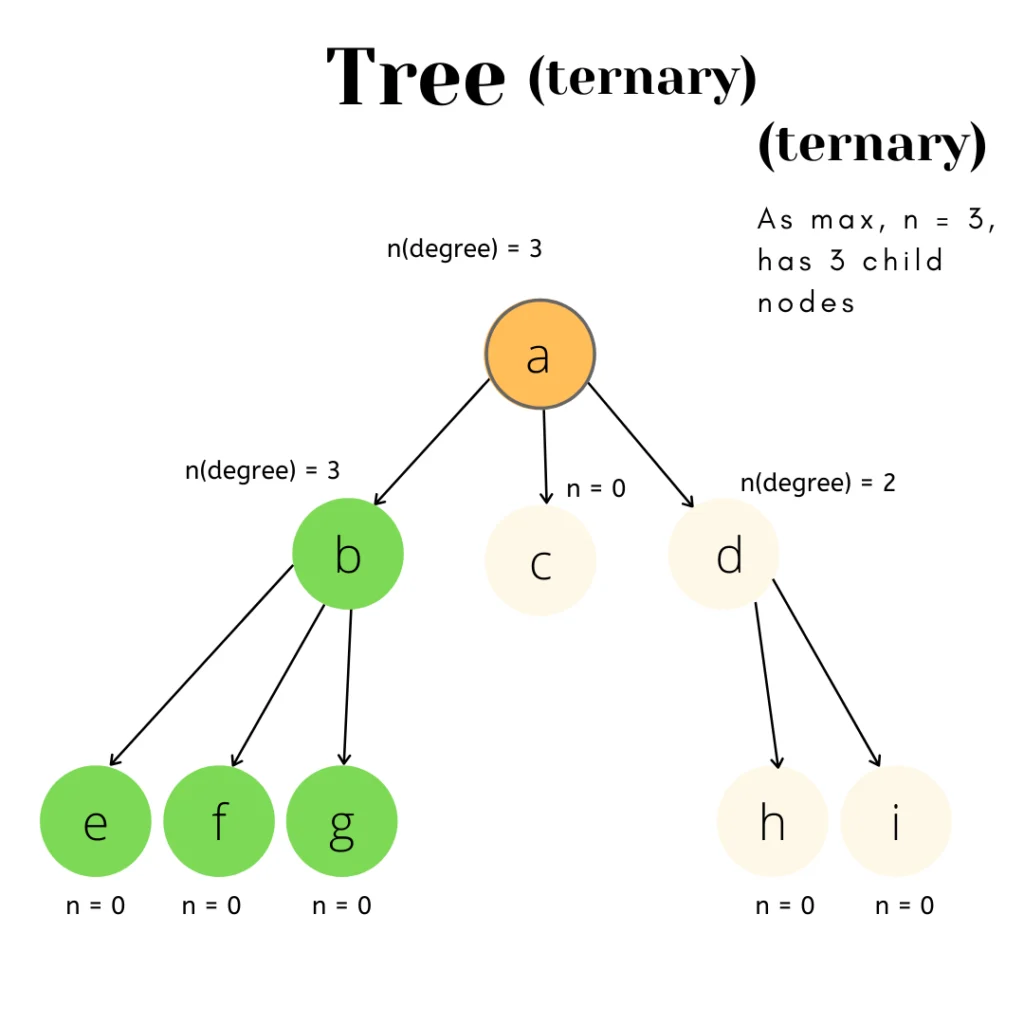 Trees in Data Structures Ternary
