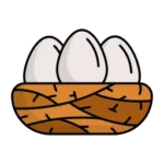 nest